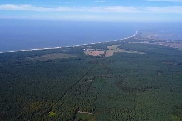 Der Küstenwald mit der Ostseeküste in Richtung Fischland - Darß.