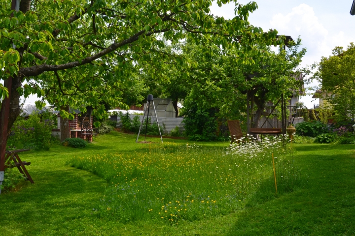 Unser Garten mit Feuerstelle und Schwenkgrill,
auf Anfrage steht er auch gerne Ihnen zur Verfügung