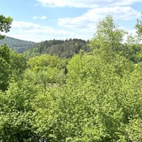 Ferienwohnung Babette