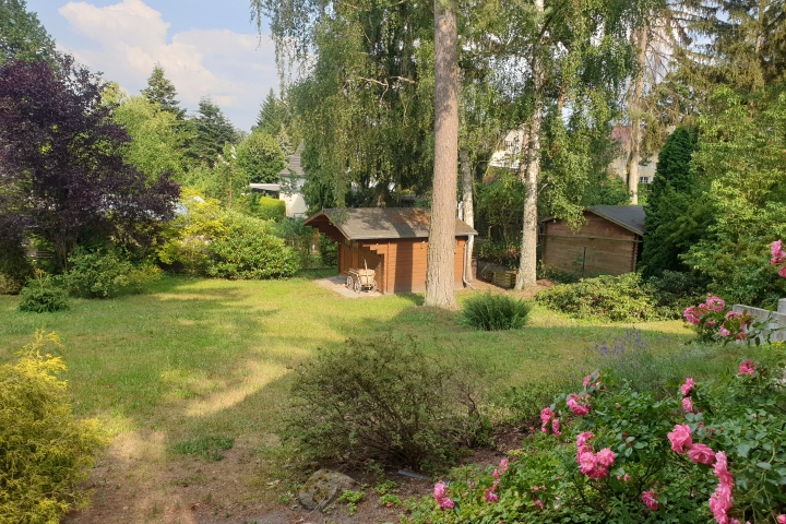 Blick in den Garten