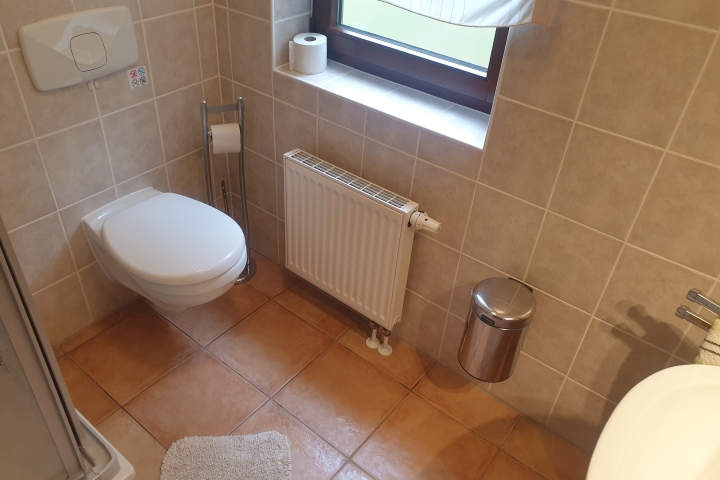 WC im EG mit Dusche
