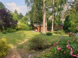 Blick in den Garten
