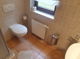 WC im EG mit Dusche