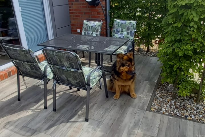 Terrasse der Ferienwohnung Slumpschööt