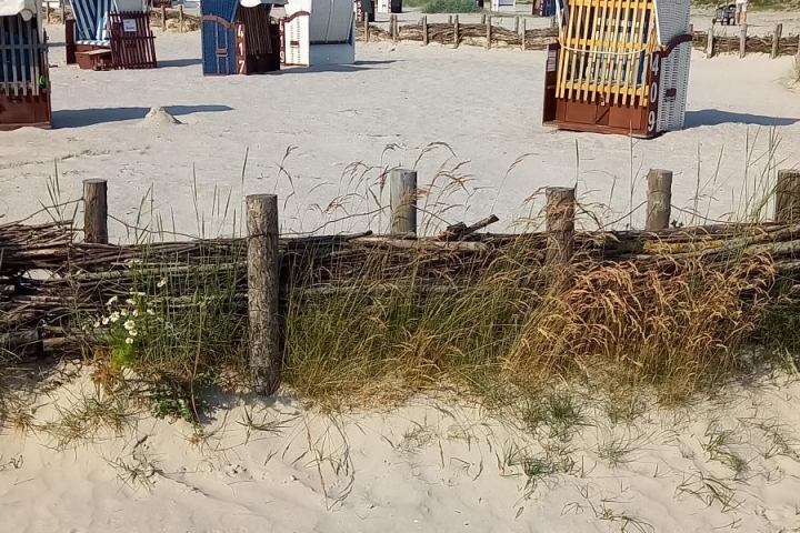 Hundestrand von Harlesiel