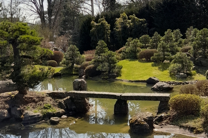 Bonsaigarten in Ferch