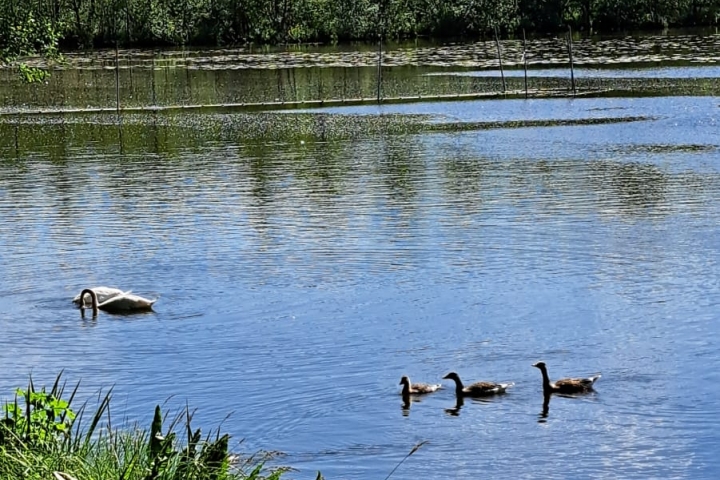 Lehnin am Klostersee