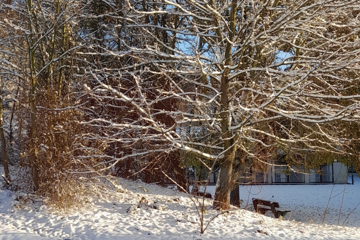 Winter 2023 in Bad Belzig