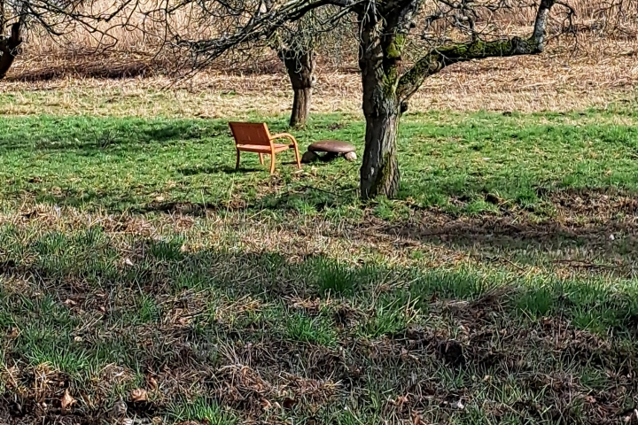 Schlosspark Petzow