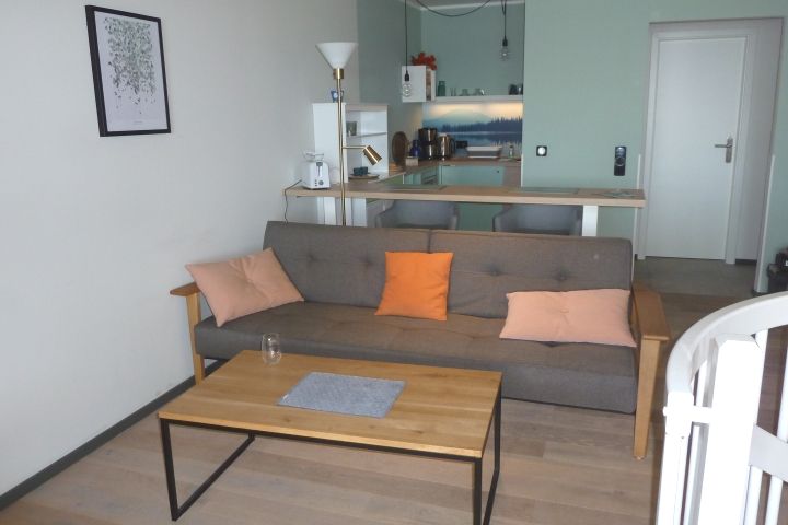 Wohnraum, Schlafcouch mit Blick in die Küche