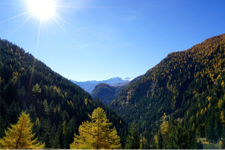 Tal nach Süden
