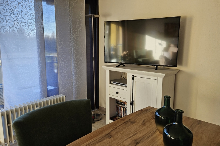 Moderne Unterhaltung: Entspannen Sie bei einem Filmabend in Ihrer gemütlichen Ferienwohnung.