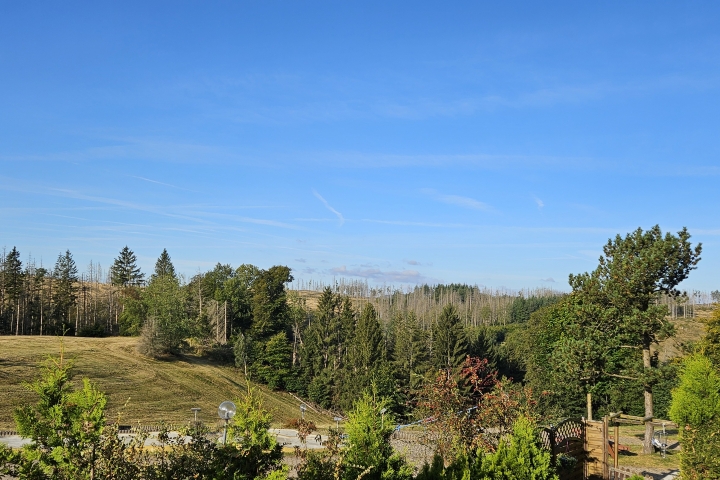Traumhafter Ausblick vom Balkon auf weite Wiesen und Wälder – pure Entspannung in der Landschaft.