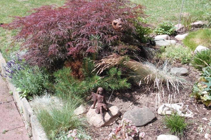 Kleine Gartenfee;