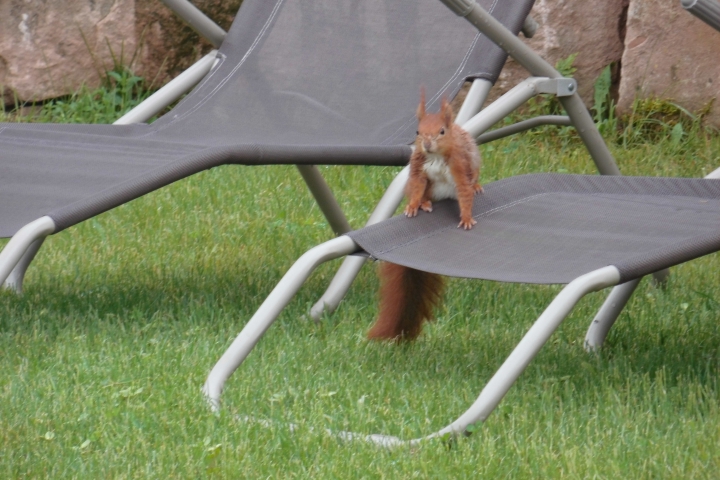 Besuch im Garten
