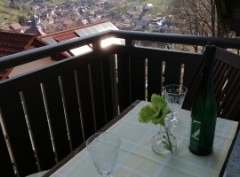 Ferienwohnung Typ A - Foto 2