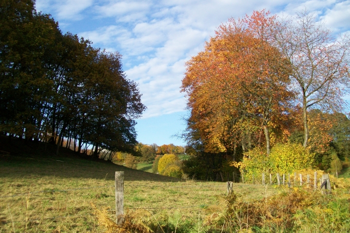 Ein goldener Oktobertag