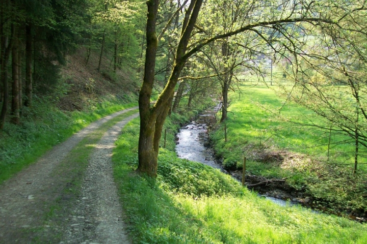 Ein Spaziergang am Bach entlang