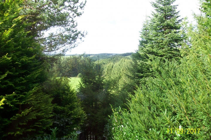 Aussicht vom Wintergarten