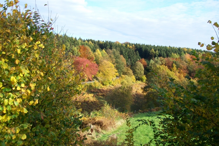 So schön ist hier der Herbst