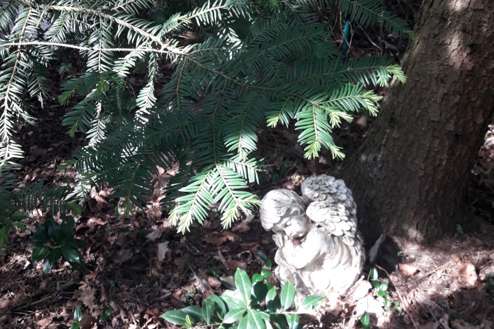 Im Garten