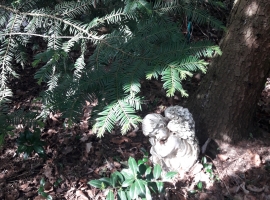 Im Garten