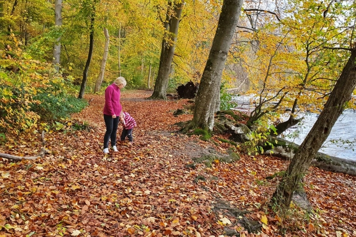 Herbstspaziergang