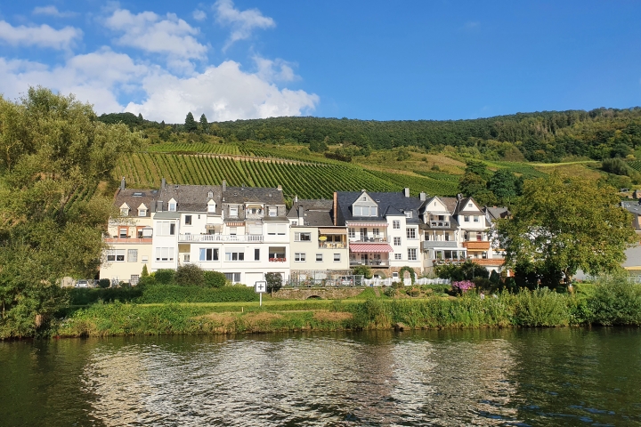 Waldecks Moselparadies | Waldecks Moselparadies in Zell