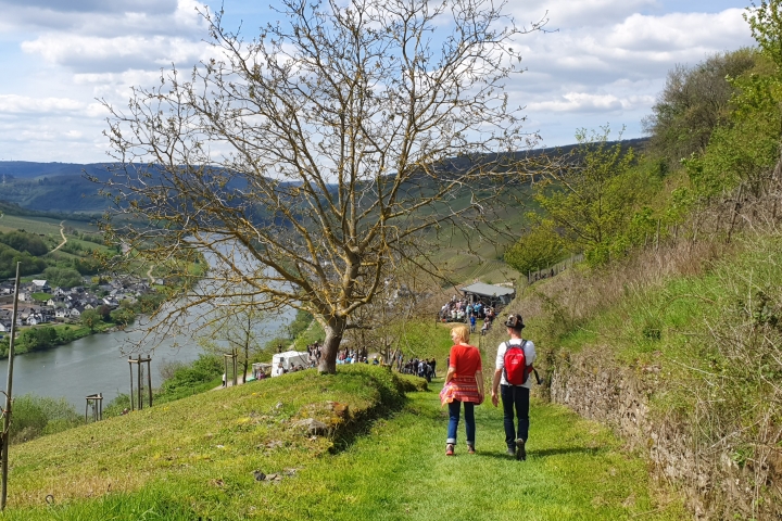 Wandern mit Aussicht