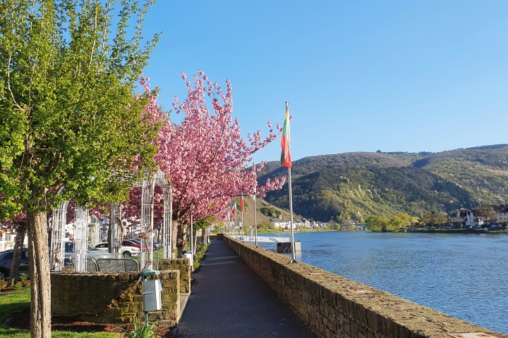 Moselpromenade Altstadt Zell Mosel