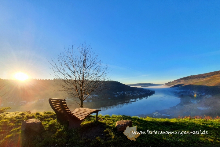 Traumhafte Aussicht am Lieblingsplatz in Zell