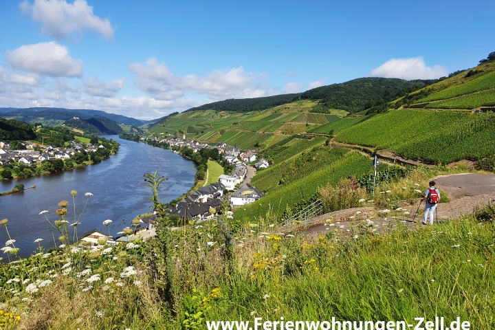 Wandern in den Zeller Weinbergen