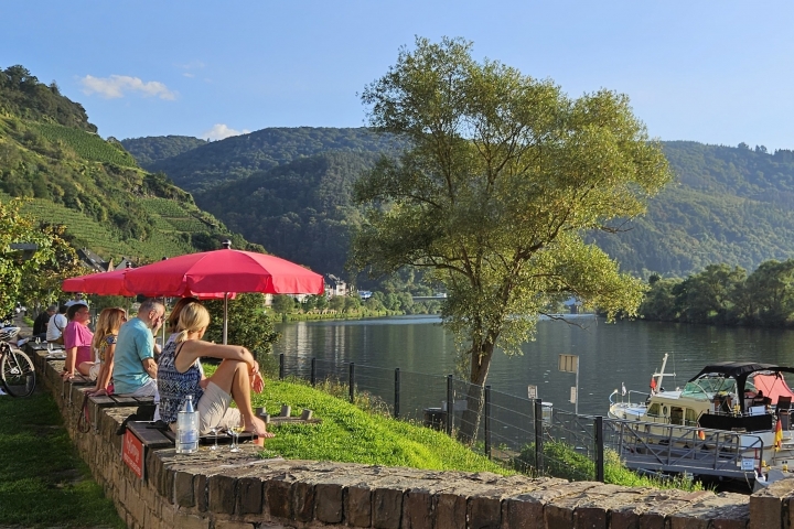 Moselwein genießen in Zell