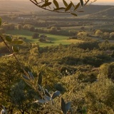 Castelli e Primavera