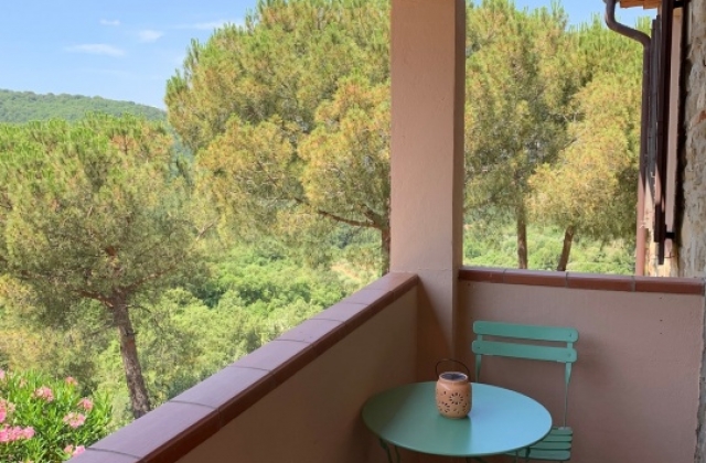 Castelli e Primavera &middot; Cicoria