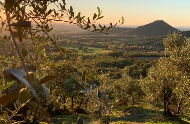 Castelli e Primavera &middot; Lauro
