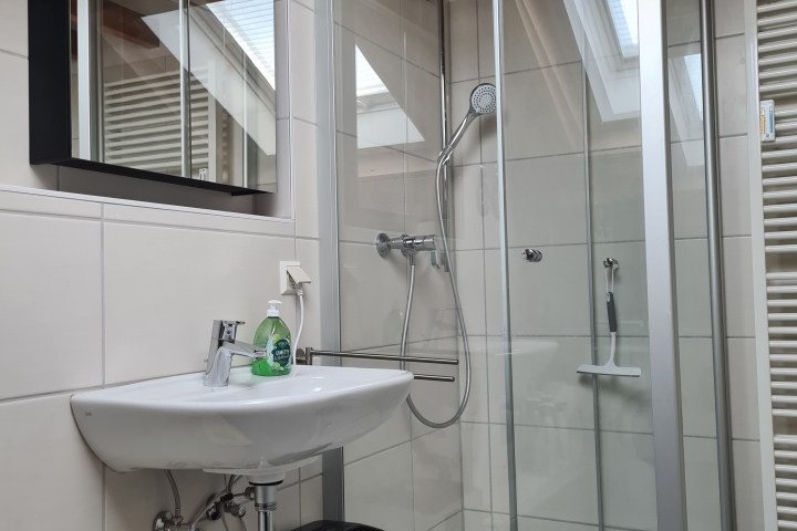 Bad mit Dusche, Waschbecken, WC, Waschmaschine (auf Foto nicht sichtbar)