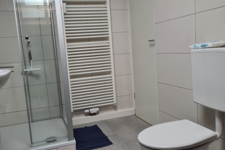 Bad mit Dusche, Waschbecken, WC, Waschmaschine (auf Foto nicht sichtbar)