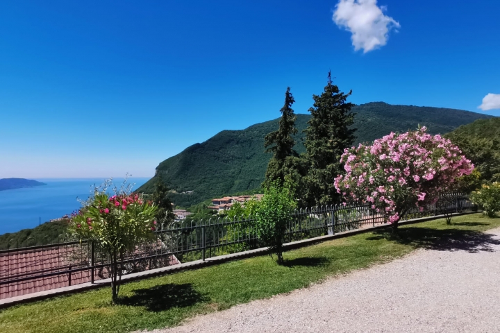 Casa Rosella Apt. 1 | traumhafte Lage über dem See