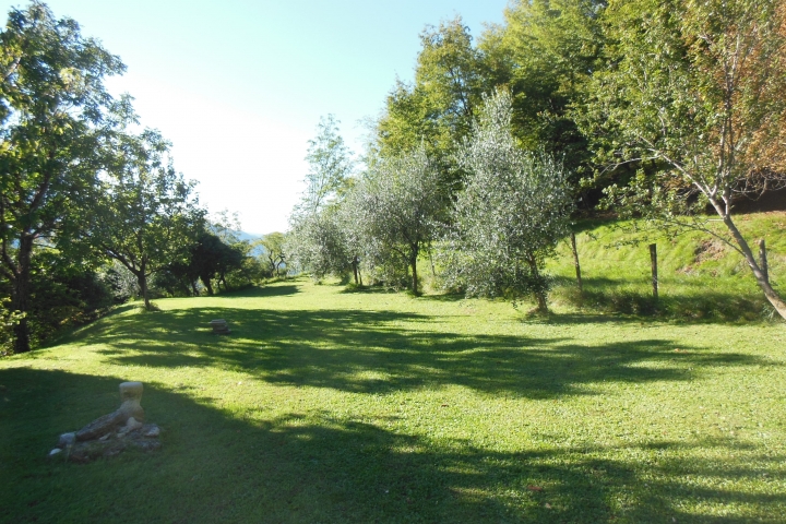 großer Gemeinschaftsgarten