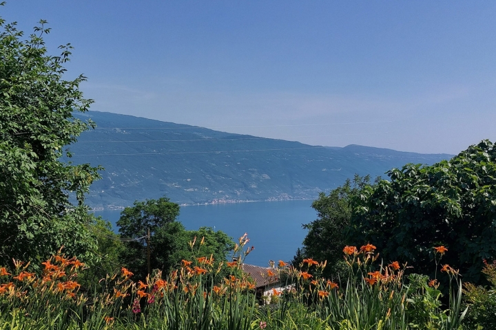 herrlicher Seeblick