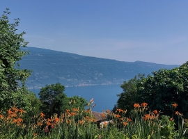 herrlicher Seeblick