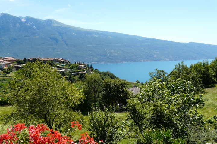 herrlicher Seeblick