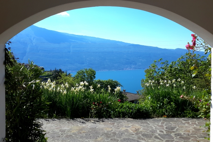 Blick von der Terrasse