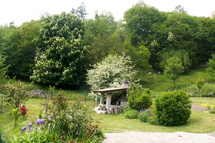 Blick in den Garten mit Grillhaus