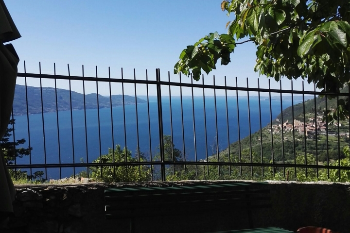 atemberaubender Seeblick vom Garten