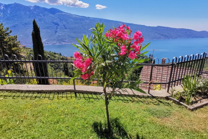 Garten mit vielen Blumen und traumhaftem Seeblick