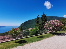 Herrlicher Seeblick von Terrasse und Gemeinschaftsgarten