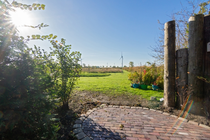 Blick in den Garten
