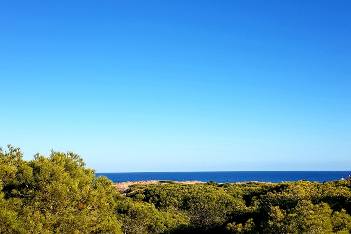 Die Dünen bei La Marina